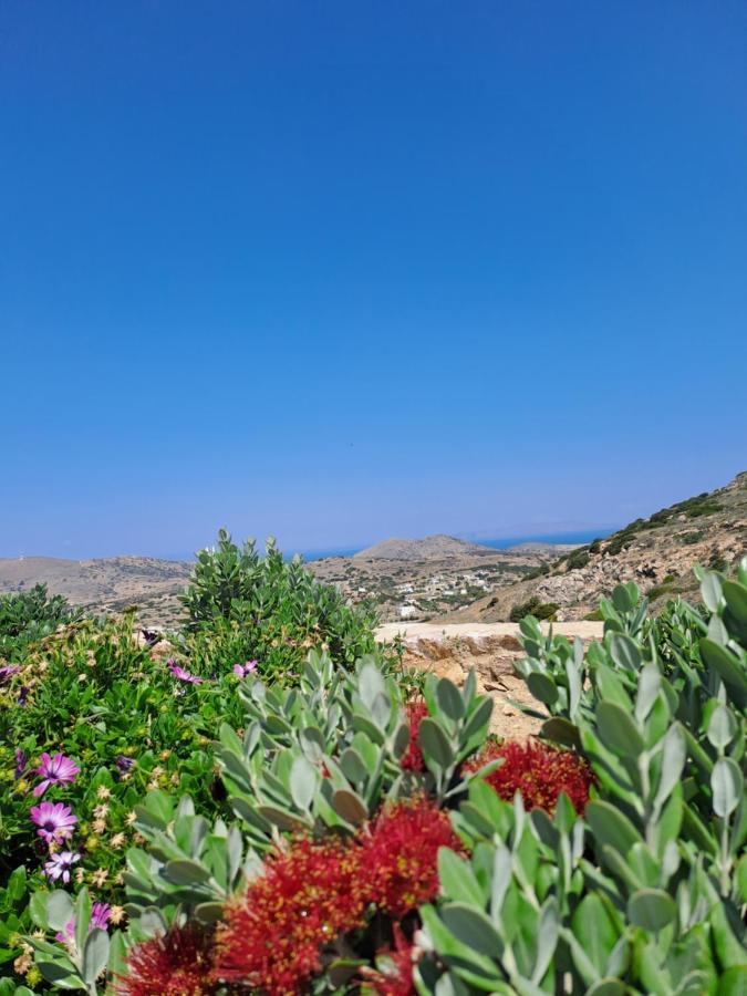 Villa Adeiata Adiata Exterior foto